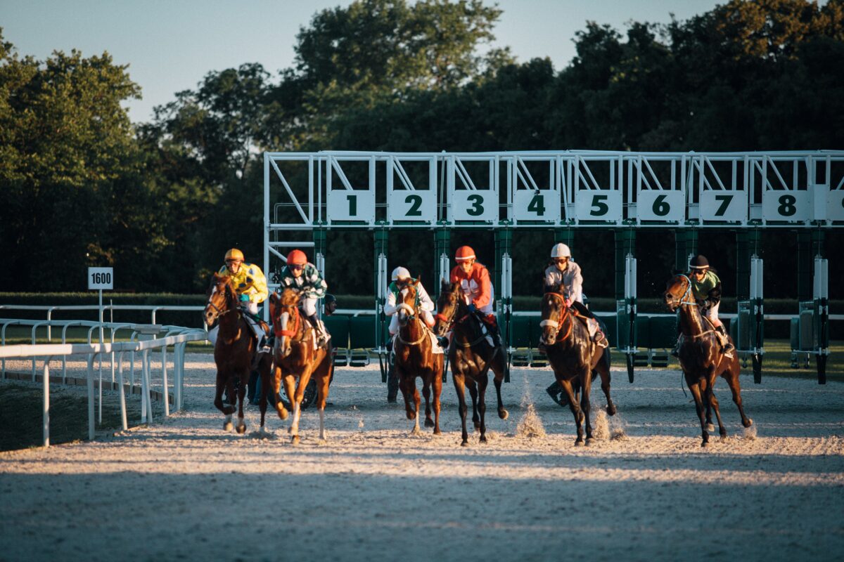 Horse racing at the track during the spring racing carnival